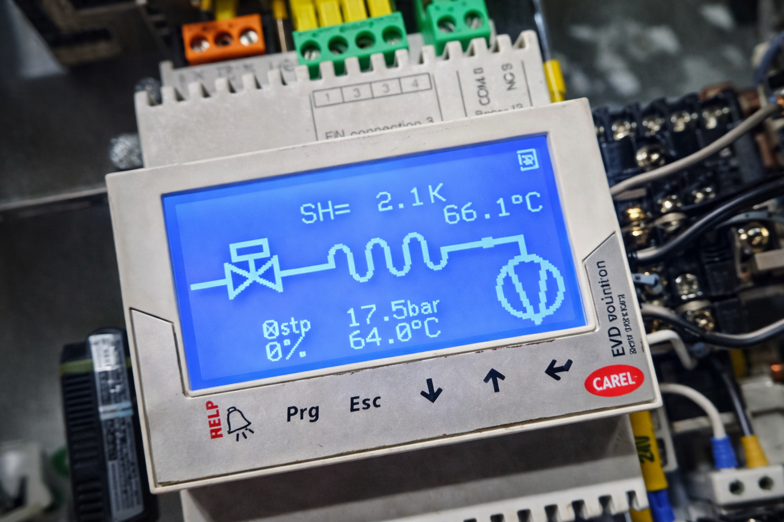 ChatGPT Image Feb 20, 2026, 05_43_31 PM